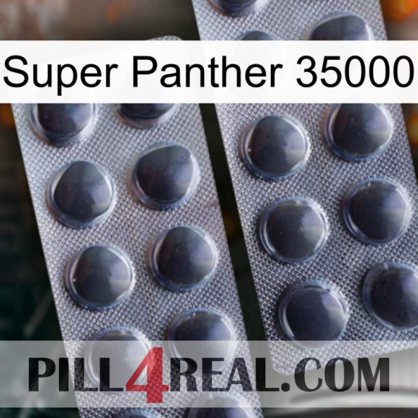 Super Panther 35000 31.jpg